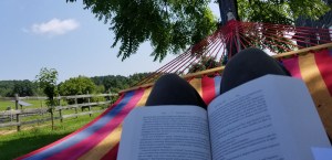 War and Peace in VT 2